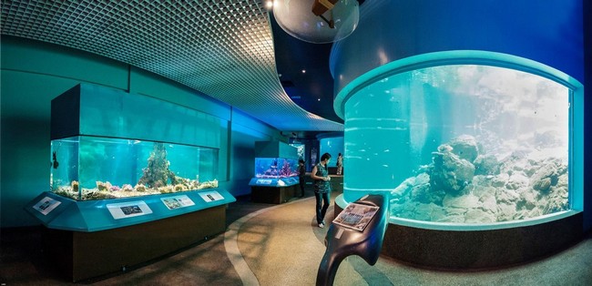 marine museum- pakej percutian ke sabah tahun 2018